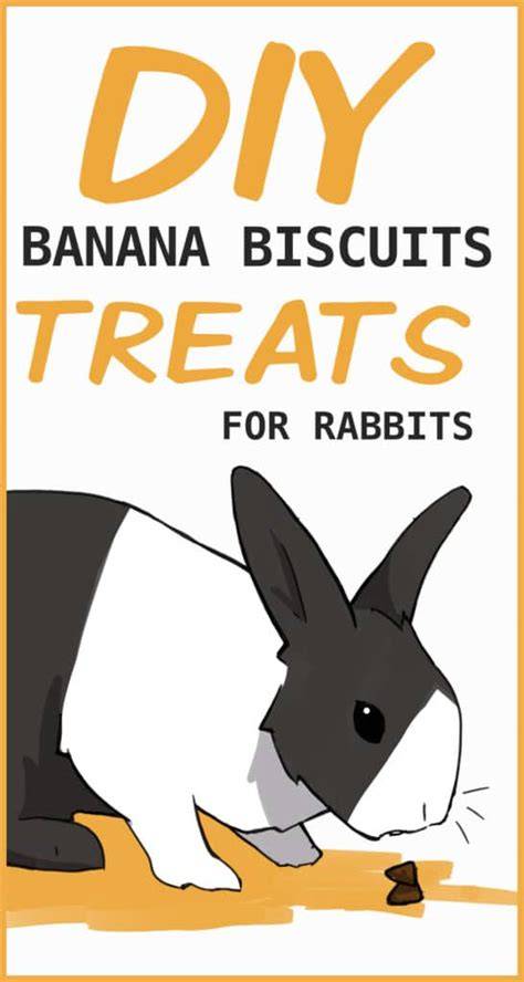 Homemade Banana Biscuit Treats for Rabbits - The … - raincitystudios.com