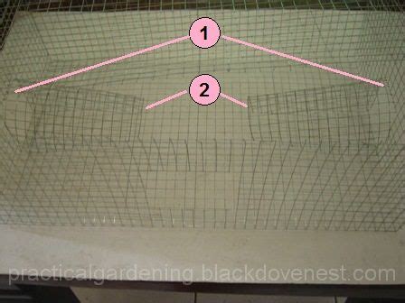 Homemade Bird Trap - Making the Cage or Housing - balustradellc