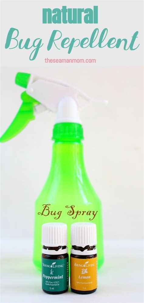 Homemade Bug Spray: Natural Recipes for Your Skin, … - balustradellc