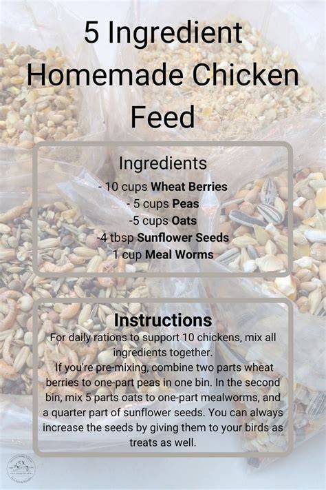 Homemade Chicken Feed (4 DIY Recipes!) - The Ultimate Homestead - raincitystudios.com