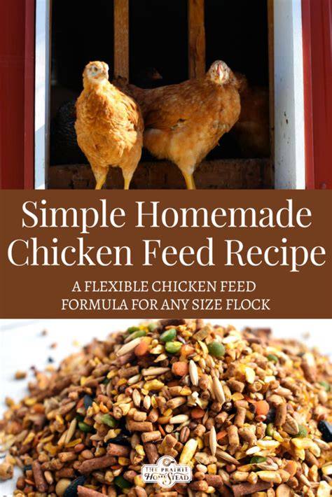 Homemade Chicken Feed - The Homesteading Hippy - raincitystudios.com