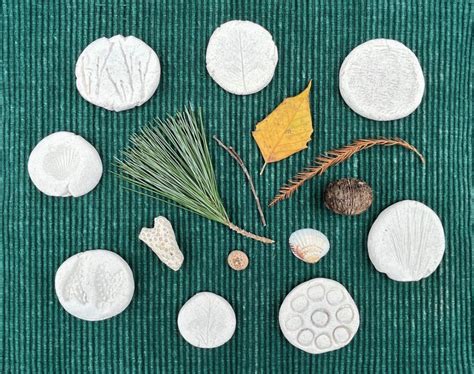 Homemade Clay Nature Imprints - Daniel Boone … - muktibox.com