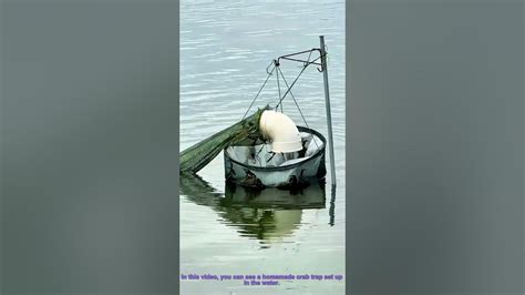Homemade Crab Trap: Catch Crabs in Water Easily - balustradellc