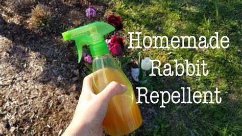 Homemade Deer And Rabbit Repellent - [Mom Prepared] - raincitystudios.com