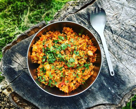 Homemade Dehydrated Backpacking Meals: A No … - balustradellc