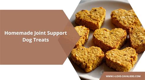Homemade Dog Treats with Collagen for Joint Health - balustradellc