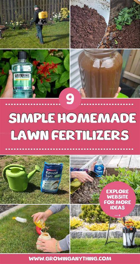 Homemade Fertilizer for Lawns - How to DIY Your Own … - raincitystudios.com