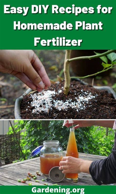 Homemade Fertilizer Recipes | Planet Natural - raincitystudios.com