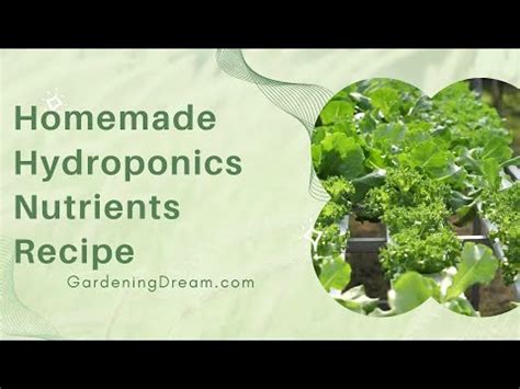 Homemade Hydroponics Nutrients Recipe - wintechmobiles.com