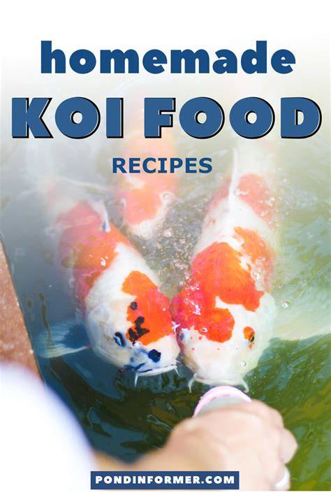 Homemade Koi Food Recipes (How To Make Pellets) - raincitystudios.com