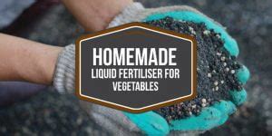 Homemade Liquid Fertiliser For Vegetables - 10 Easy … - balustradellc