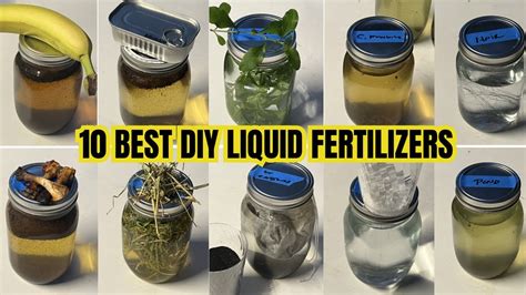 Homemade Liquid Fertilizer for Seedlings: 15 Best DIY Natural and ... - raincitystudios.com