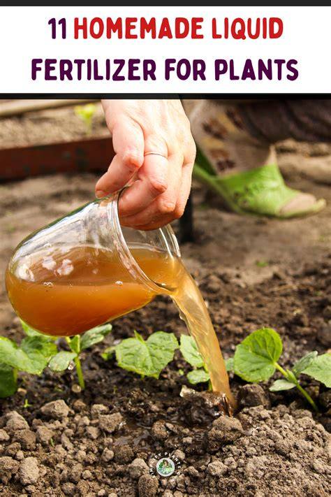 Homemade Liquid Fertilizer Recipes For Lush … - raincitystudios.com