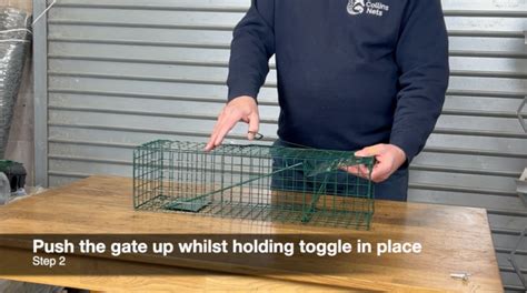 Homemade Live Bird Trap Instructions - Sciencing - balustradellc