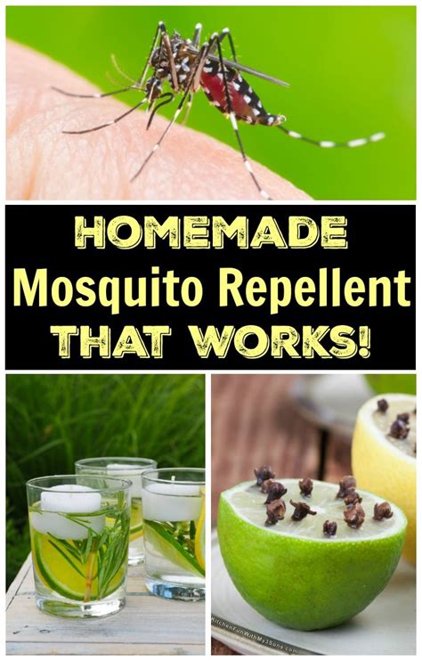Homemade Natural Mosquito Repellent - balustradellc