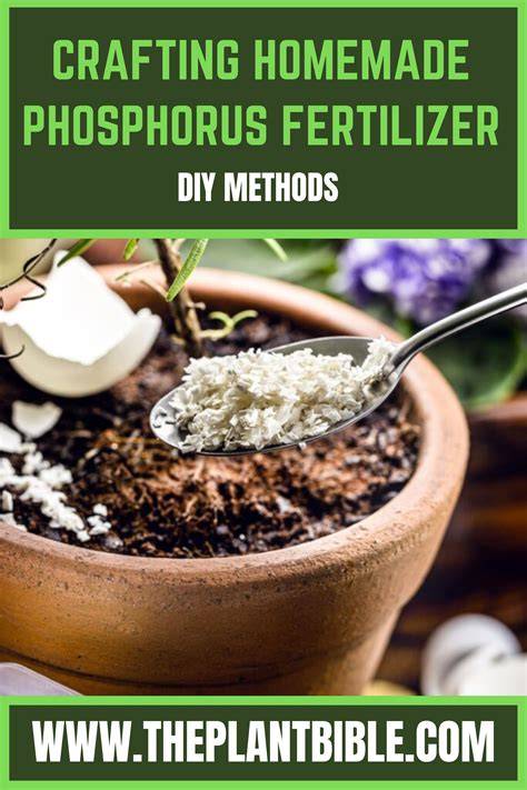 Homemade Natural Phosphorus Fertilizer - Southside … - raincitystudios.com