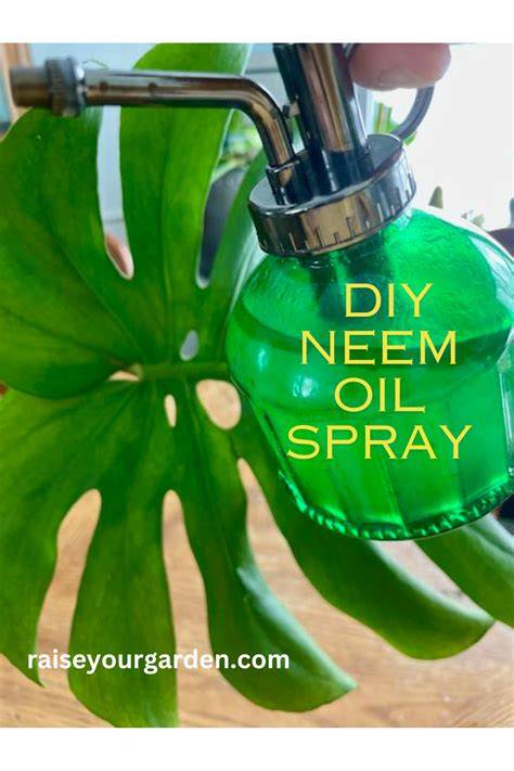 Homemade Neem Oil Spray: Effective Pest Control … - raincitystudios.com