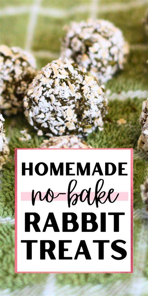 Homemade No-Bake Treats for Rabbits (apple and … - raincitystudios.com