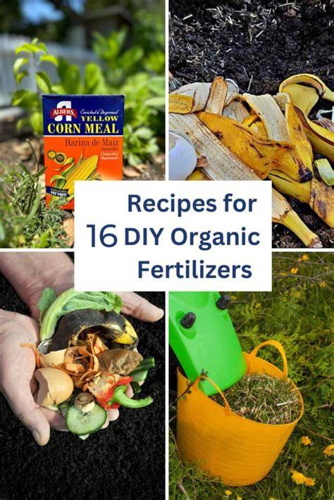 Homemade Organic Fertilizer Recipes for Raised Garden Beds - raincitystudios.com