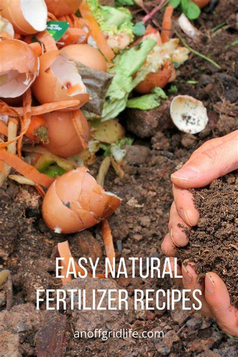 Homemade Plant Food: 7 Easy Natural Fertilizer Recipes - raincitystudios.com