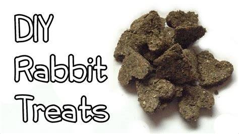 Homemade Rabbit Treats - LiveJournal - raincitystudios.com