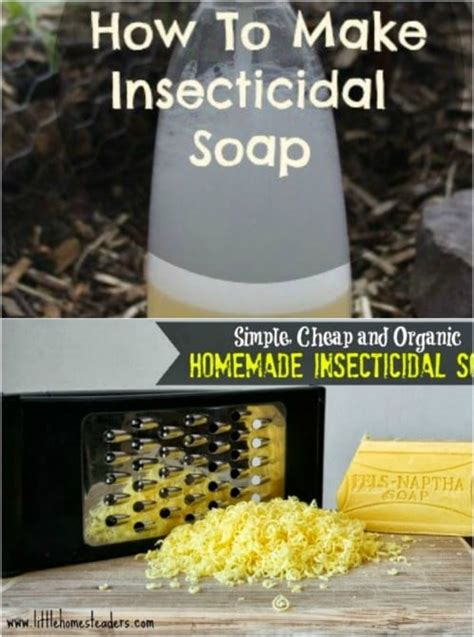 Homemade Soap-Based Insecticides for Garden Pest Control - balustradellc