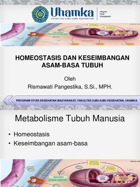 Homeostasis asam–basa - Wikipedia bahasa Indonesia, … - wintechmobiles.com