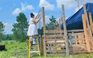 Homeowner shares their DIY off-grid setup that exploited a regulation ... - balustradellc