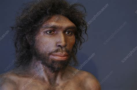 Homo heidelbergensis - wintechmobiles.com