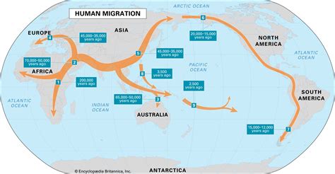 Homo sapiens and early human migration - Khan … - wintechmobiles.com