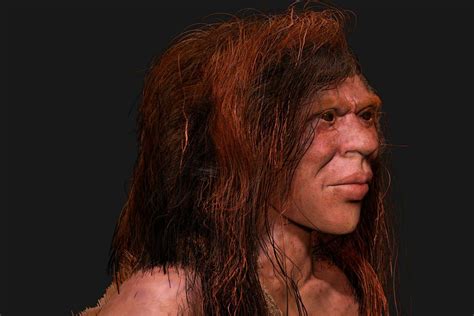 Homo sapiens Neanderthals and Denisovans - Monash … - wintechmobiles.com