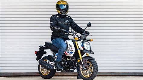 Honda miniMOTO | Street Mini Motorcycles & Pocket … - raincitystudios.com
