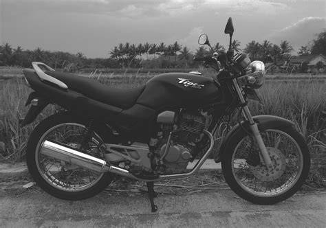 HONDA TIGER 2000 (HT2000) | Bismillah..... - raincitystudios.com