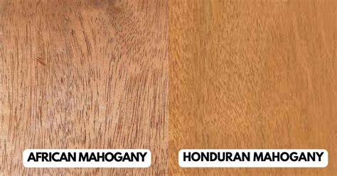 Honduran Mahogany | The Wood Database (Hardwood) - raincitystudios.com