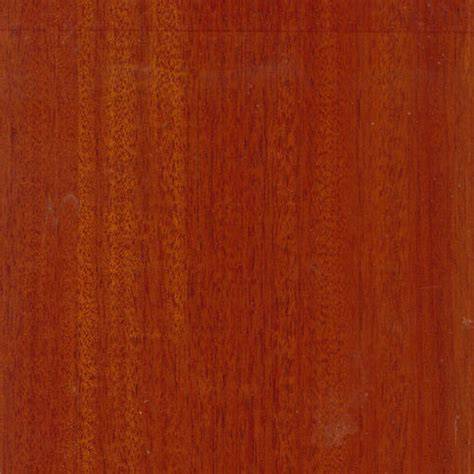 Honduras mahogany - Swietenia macrophylla (Care, … - raincitystudios.com