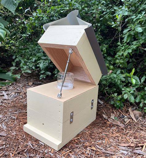Honey Jar Beehive OATH Box Stingless … - raincitystudios.com