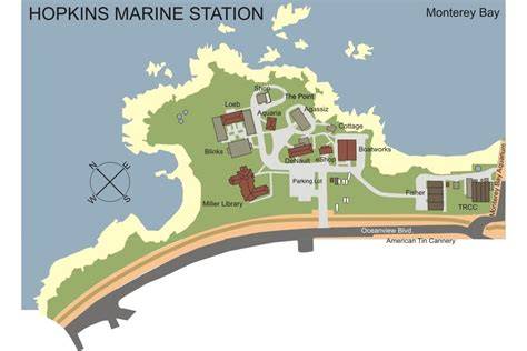 Hopkins Marine Station - raincitystudios.com