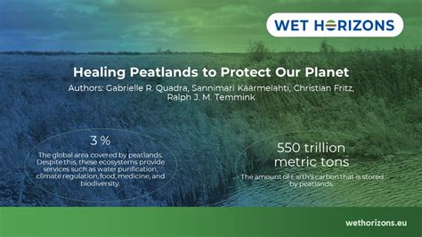 Horizon Europe Wetlands Restoration Project- Wethorizons - wintechmobiles.com