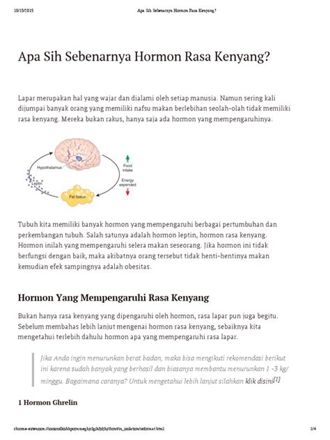 Hormon Kenyang - muktibox.com