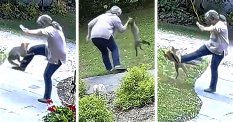 HORRIFIC footage shows NY woman fighting off RABID fox who