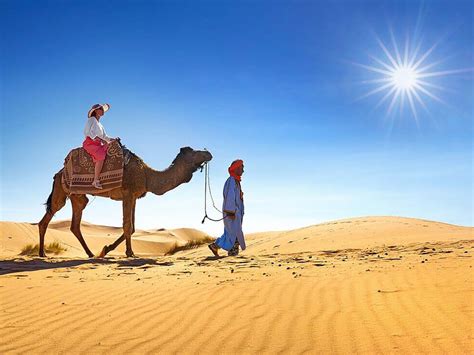 Horseback Riding And Camel Tours In Hammamet's Desert - balustradellc