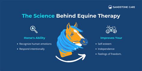 Horses and ADHD: How Equine Activities Help Kids Focus and Self ... - balustradellc
