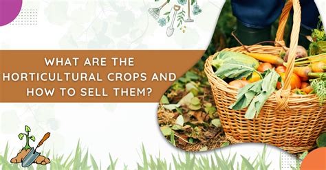 Horticultural Crops - an overview | ScienceDirect Topics - muktibox.com