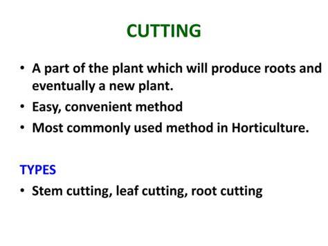 HORTICULTURAL PRACTICES : CUTTING, … - raincitystudios.com