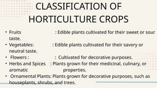 Horticulture: Types, Importance & More - Next IAS - coolestguyplanet.net