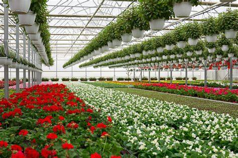 Horticulture & Landscape Architecture - raincitystudios.com