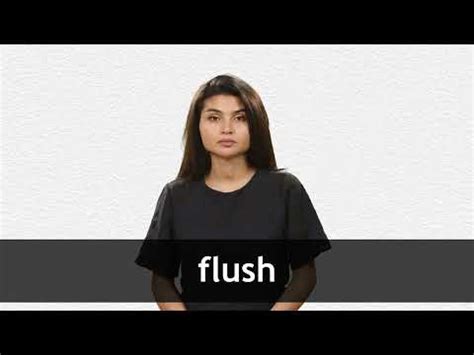 HOT FLUSH English meaning - Cambridge Dictionary