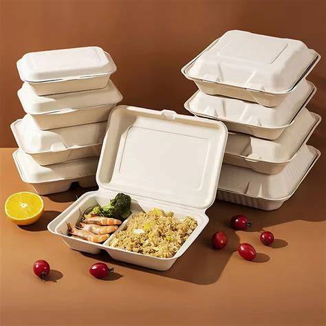 Hot Sale Disposable Biodegradable Food Container 6 Compartment ... - raincitystudios.com