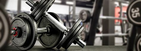 Hotel Gym Workout: How to Build Muscle While Traveling - balustradellc