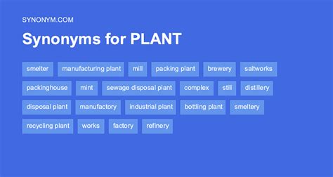 HOTHOUSE PLANT Synonyms: 8 Synonyms & Antonyms for …